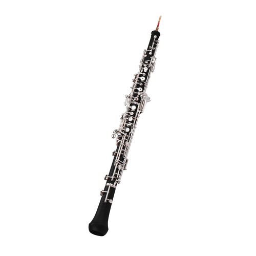 Professional oboe - professional,