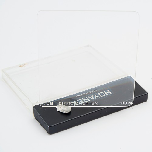 Hoyarex x diffraction - x,