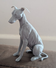 Greyhound Lurcher Whippet Dog