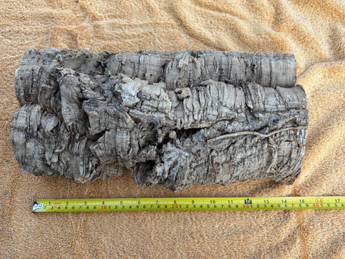Large vivarium cork reptile - vivarium,