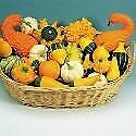 Ornamental Gourd - Improved Small Fruited Mix - 10 Seeds - Economy Size