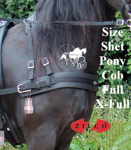 Carriage driving harness - driving,