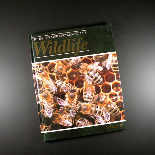 The illustrated encyclopedia - the,