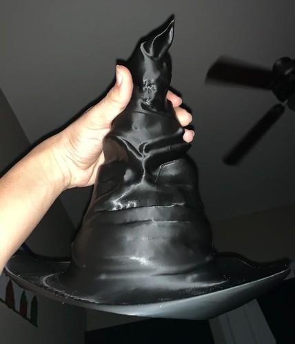 Harry potter sorting hat - harry,