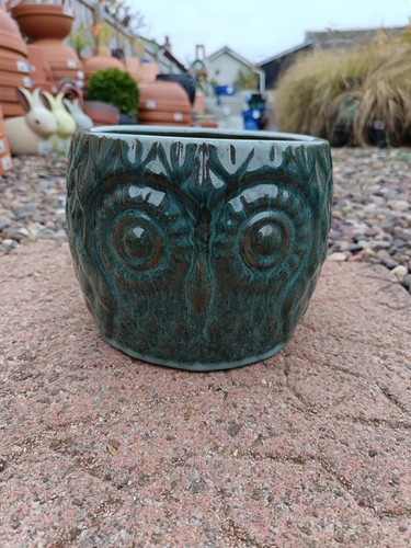 Ceramic owl pot d - pot, 20