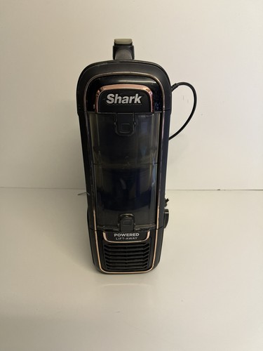 Genuine shark upright - genuine,