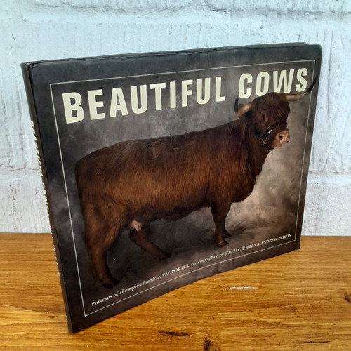 Beautiful cows valerie - beautiful, —