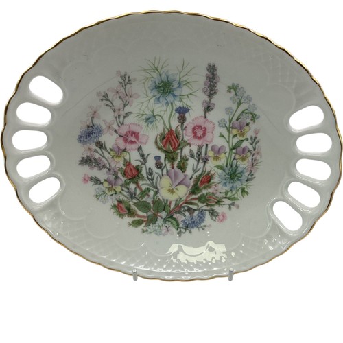 Aynsley wild tudor - aynsley,