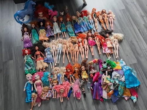 Large bundle barbie - bundle,