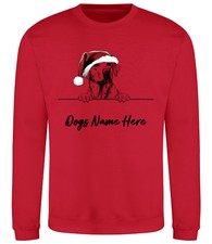 LABRADOR RETRIEVER Personalised Christmas Dog Sweatshirt Adults Kids Jumper Gift