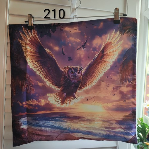 Flying owl sunset soft - flying,