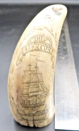 Faux sperm whale tooth - faux,