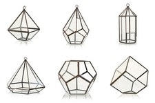 Glass Terrarium - Terrariums -