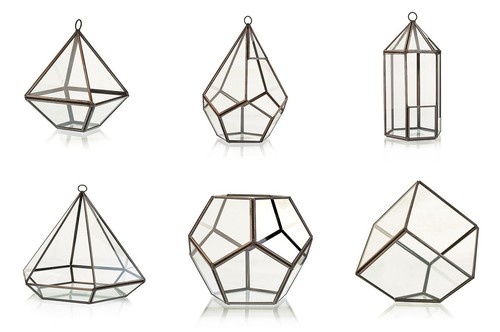 Glass terrarium terrariums - glass,