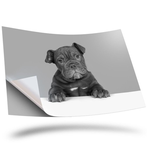 Vinyl sticker bw - sticker, a2
