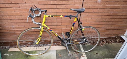 Raleigh team banana racing - raleigh,