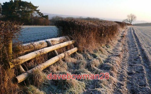 Photo cross country - photo,