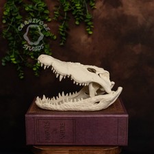 Nile Crocodile Skull Replica 9" Fixed Jaw Model – Bone PLA Carnivore Stu