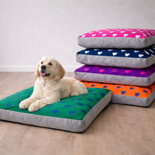 Luxury Hearts Design Dog/Pet