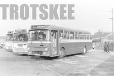 35mm Black and White Negative