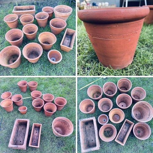 Terracotta plant pots - terracotta,