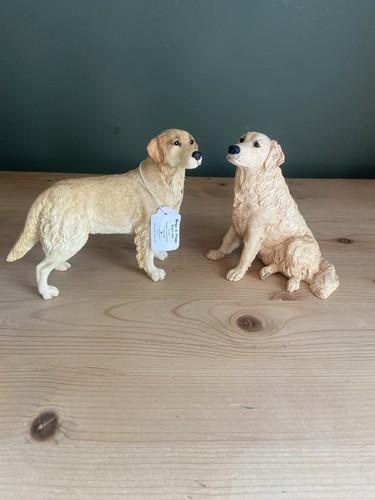 Dogs and pups galore - pups, of