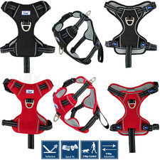 Ancol Dog Travel Car Walking Harness Padded Seat belt Clip Lead Safety