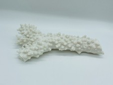 Dry Coral Reef Rock Saltwater