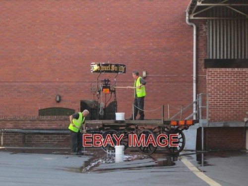 Photo cleaning the horse - photo,