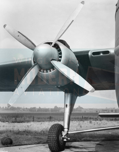 Bristol type 170 freighter - type,