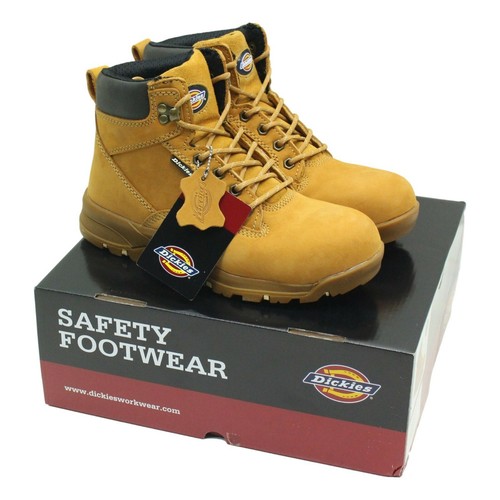 New dickies ladies - ladies, women's
