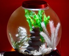 Biorb classic 30l - biorb,