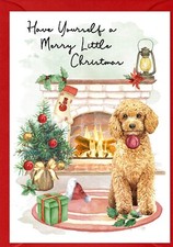 Poodle (Apricot) Dog A6 (4"x