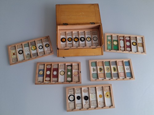 Case antique microscope - of,