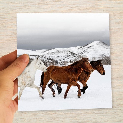 Wild ponies christmas - ponies, &
