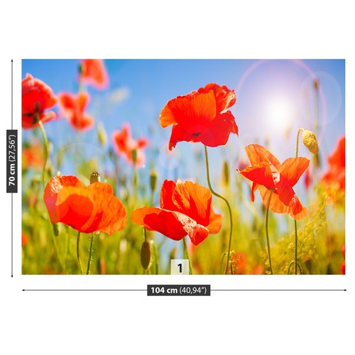 Photo wallpaper wall - wall, mural