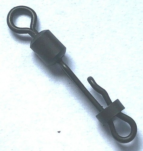 Carp fishing terminal - terminal, end