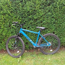 Mountain Bike - Perfect for the Summer ?