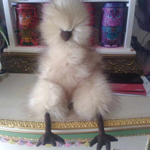 Jellycat extremely rare - extremely,