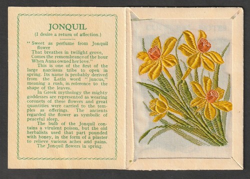 Kensitas wix silk - silk, &