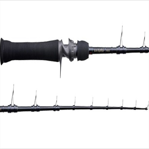 Tenryu baitcasting rod - tenryu,