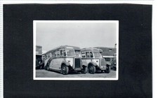 Vintage photograph of Southern