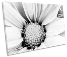 Floral Flower Closeup Petals CANVAS WALL ART Picture Print