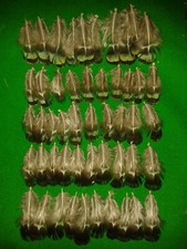 LADY AMHERST PHEASANT