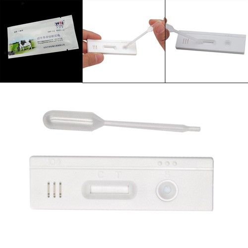 Pregnancy test paper cow - pregnancy,