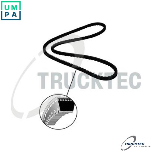 Vbelt 033 for ytt 2 - vbelt, 2.3l