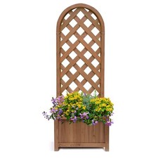 Wooden Garden Planter Plant