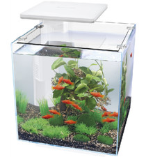 Superfish qubiq led white - superfish,