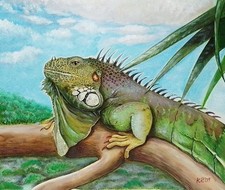 Iguana In Tree