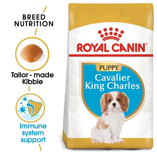 Royal canin cavalier king - royal,
